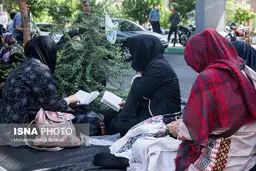 در کنکور «مافیا» وجود ندارد