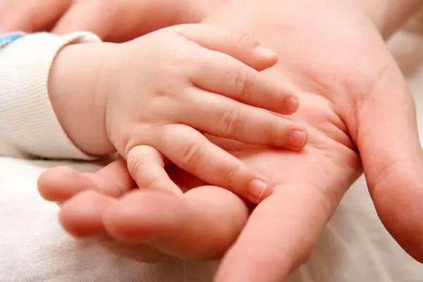 برخی اجزای حکومت به لزوم افزایش جمعیت اعتقادی ندارند