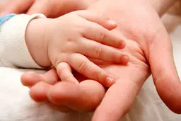 برخی اجزای حکومت به لزوم افزایش جمعیت اعتقادی ندارند