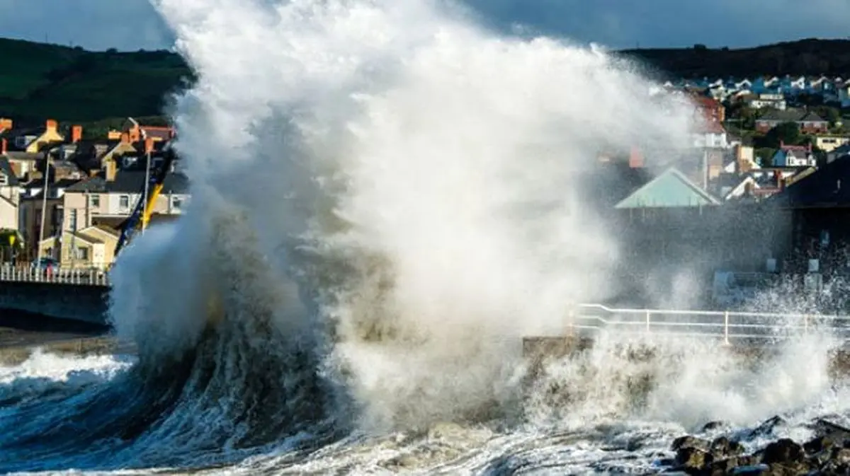 اخبار آرشیوی