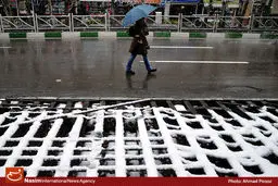 اخبار آرشیوی