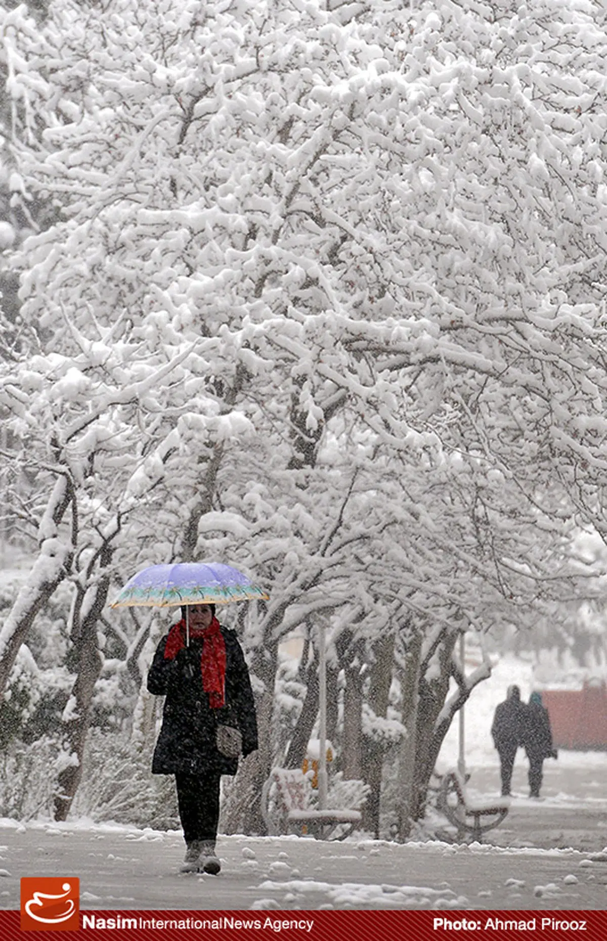 اخبار آرشیوی