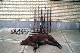 اخبار آرشیوی