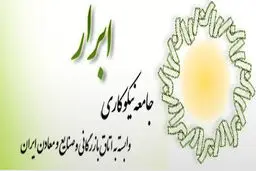 اخبار آرشیوی