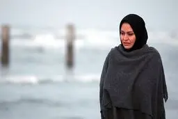 حضور فیلم  