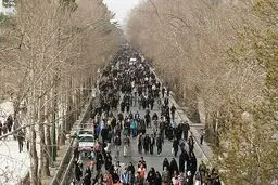 اخبار آرشیوی