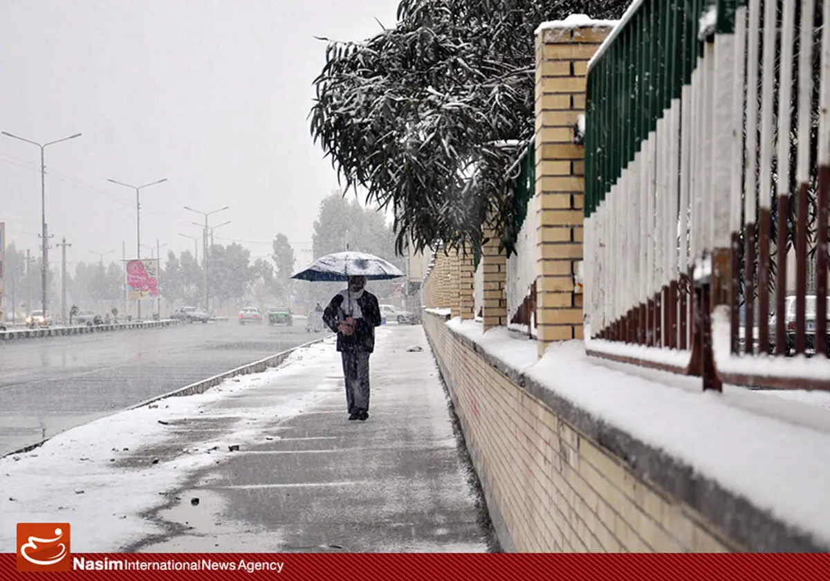 اخبار آرشیوی