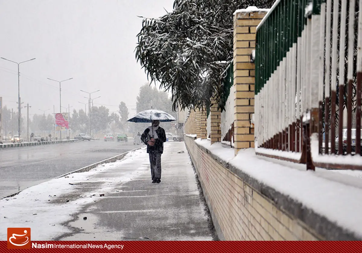 اخبار آرشیوی