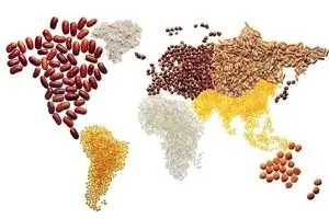 کمک ۲ میلیون یورویی آلمان به پناهجویان افغانی در ایران