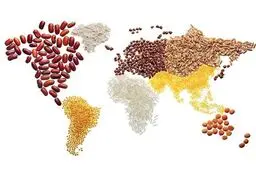 کمک ۲ میلیون یورویی آلمان به پناهجویان افغانی در ایران