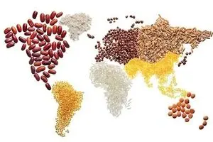 کمک ۲ میلیون یورویی آلمان به پناهجویان افغانی در ایران