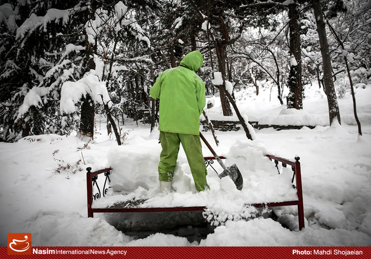 اخبار آرشیوی