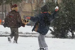 اخبار آرشیوی