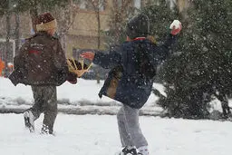 اخبار آرشیوی