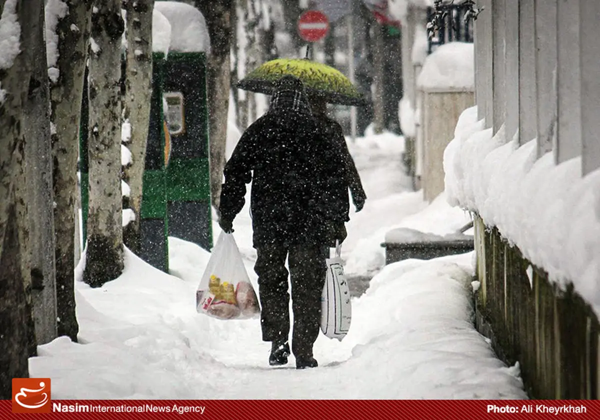 اخبار آرشیوی