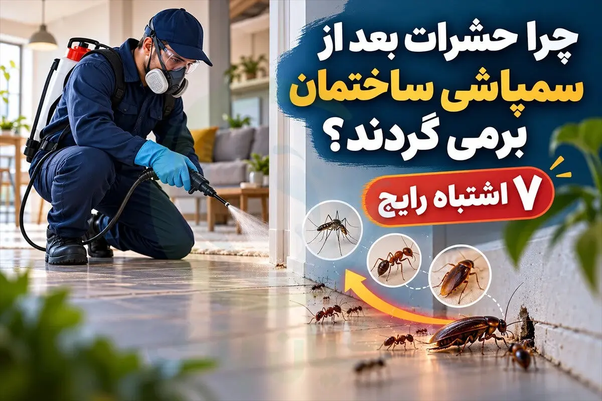 چرا حشرات بعد از سمپاشی ساختمان برمی گردند؟ (۷ اشتباه رایج)