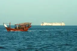 پخش مستند 