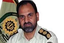مشمولان خارج از کشور از تسهیلات تردد به داخل کشور بهره مند شدند