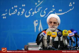 سخنگوی قوه قضائیه: افراد متهم در فتنه، بهتر است خودشان به کشور بازگردند