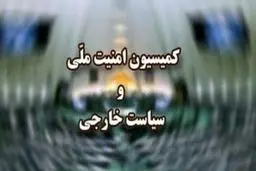 کمیسیون امنیت ملی 