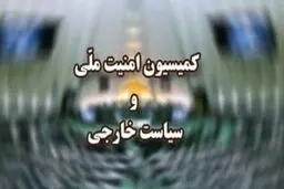 کمیسیون امنیت ملی 