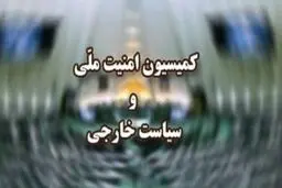 کمیسیون امنیت ملی 
