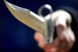 سال گذشته  ۱۱۸ نفر در تهران با سلاح سرد کشته شدند