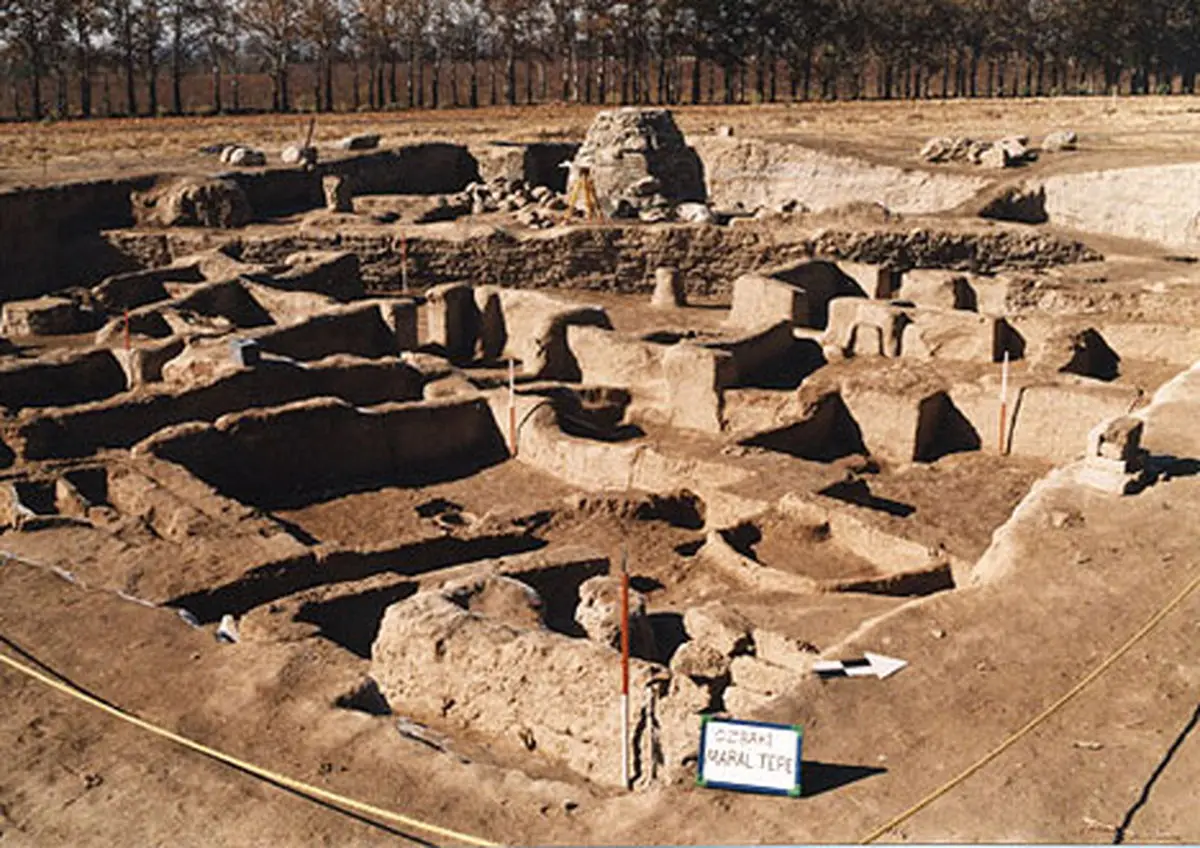 اهالی رسانه از محوطه تاریخی ازبکی در استان البرز بازدید کردند