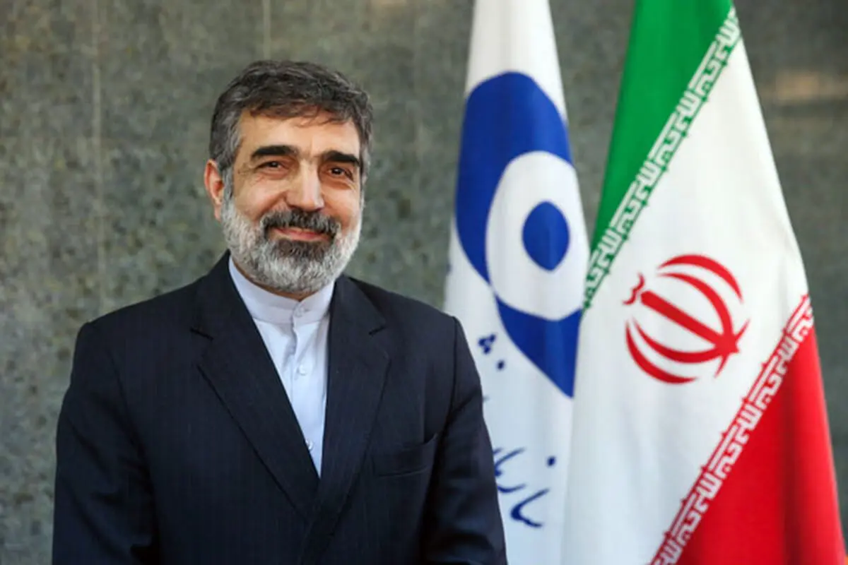 کمالوندی: انتظار داریم آژانس همکاری‌های ایران را به درستی منعکس کند
