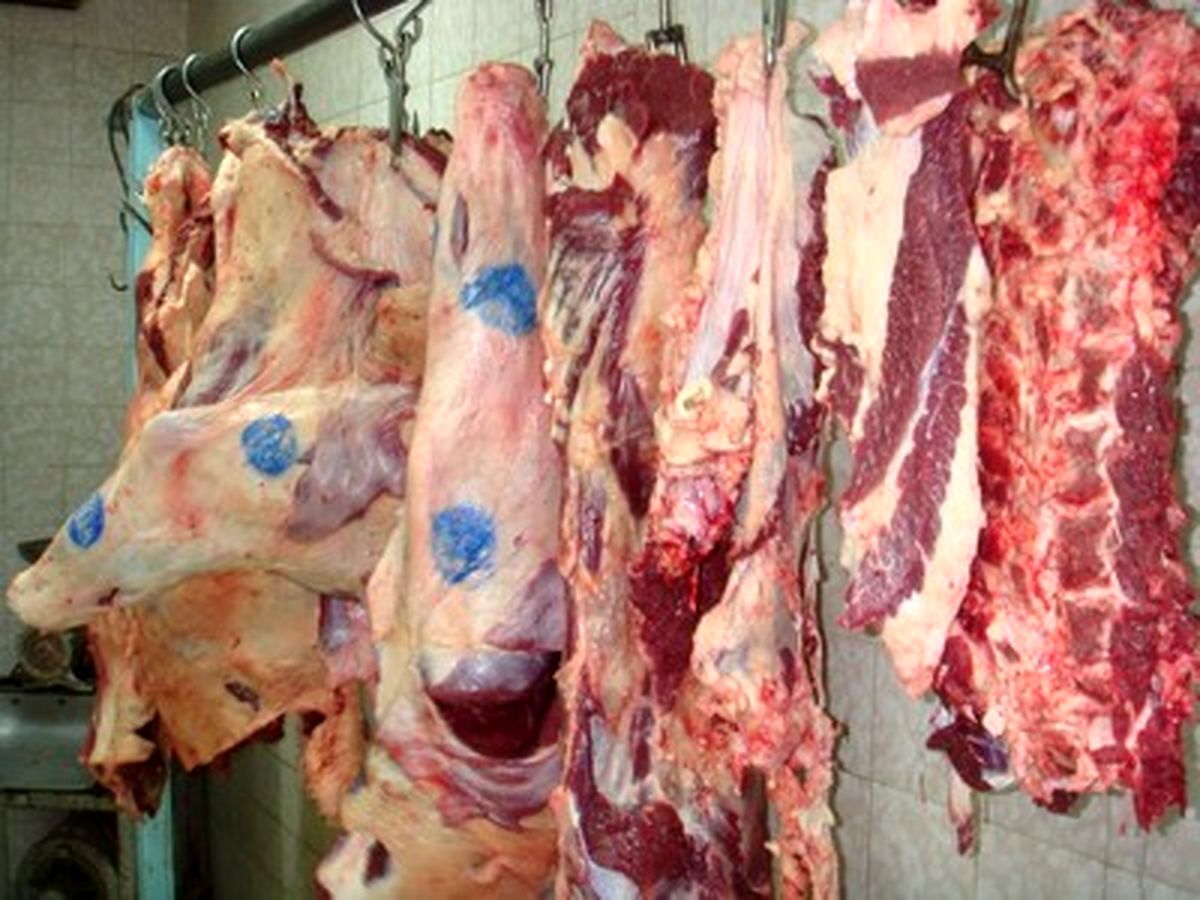 رئیس سازمان امور عشایری: امسال چهار هزار میلیارد ریال برای افزایش تولید گوشت قرمز اختصاص یافت