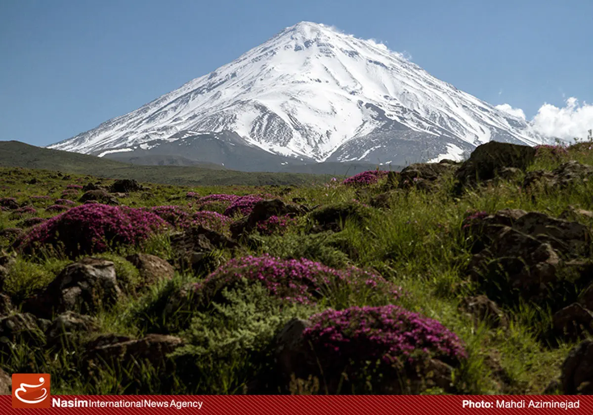 گزارش تصویری:: جشنواره تابستانی لار