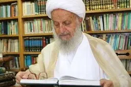 آیت‌الله مکارم شیرازی: جشنواره علامه حلی، نویدبخش آینده روشن حوزه است