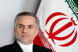 معاون وزیر ارشاد: حوزه فرهنگ و هنر تحمل جناح، خط و بازی سیاسی را ندارد