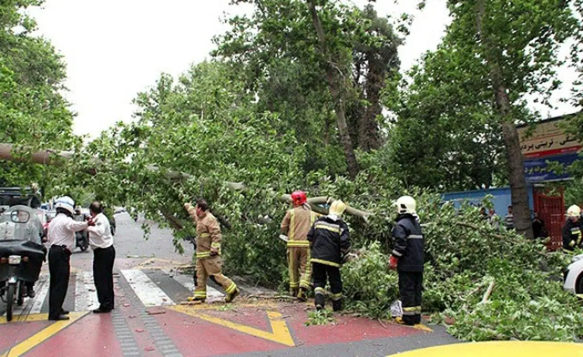 تلفات طوفان روز گذشته در تهران افزایشی نداشته است