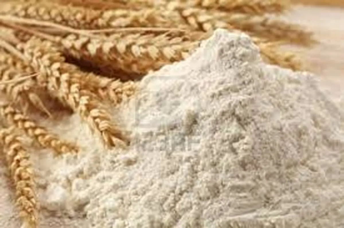 آردهای گندم غیراستاندارد از بازار جمع‌آوری شد