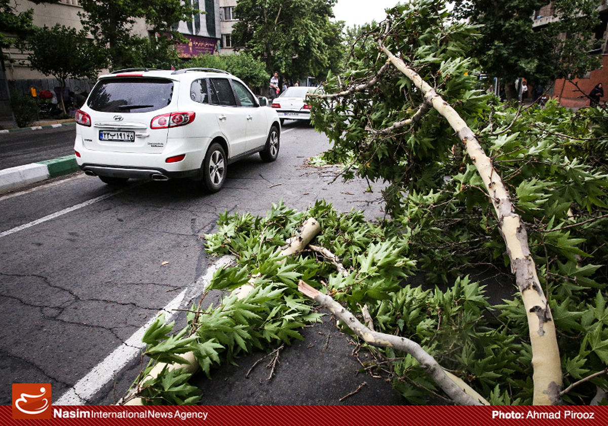 خسارت‌های شهروندان در طوفان تهران جبران می‌شود 