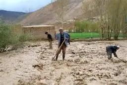 قائم‌مقام صندوق بیمه‌ کشاورزی: به کشاورزان بیمه‌شده غرامت می‌دهیم