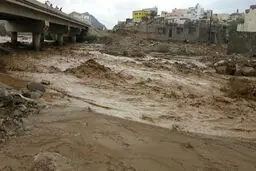 سیل در ساری علاوه بر مرگ سه نفر، ۷۰ درصد زمین‌های کشاورزی را از بین برد