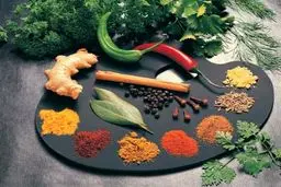 مصطفوی: بهره‌برداری بدون مجوز از كلیه اقلام گیاهان دارویی در اراضی ملی ممنوع شده است