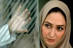 الهام حمیدی و امین زندگانی در سریال تازه شبكه سه همبازی شدند