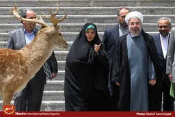 گزارش تصویری:: جلسه هیأت دولت