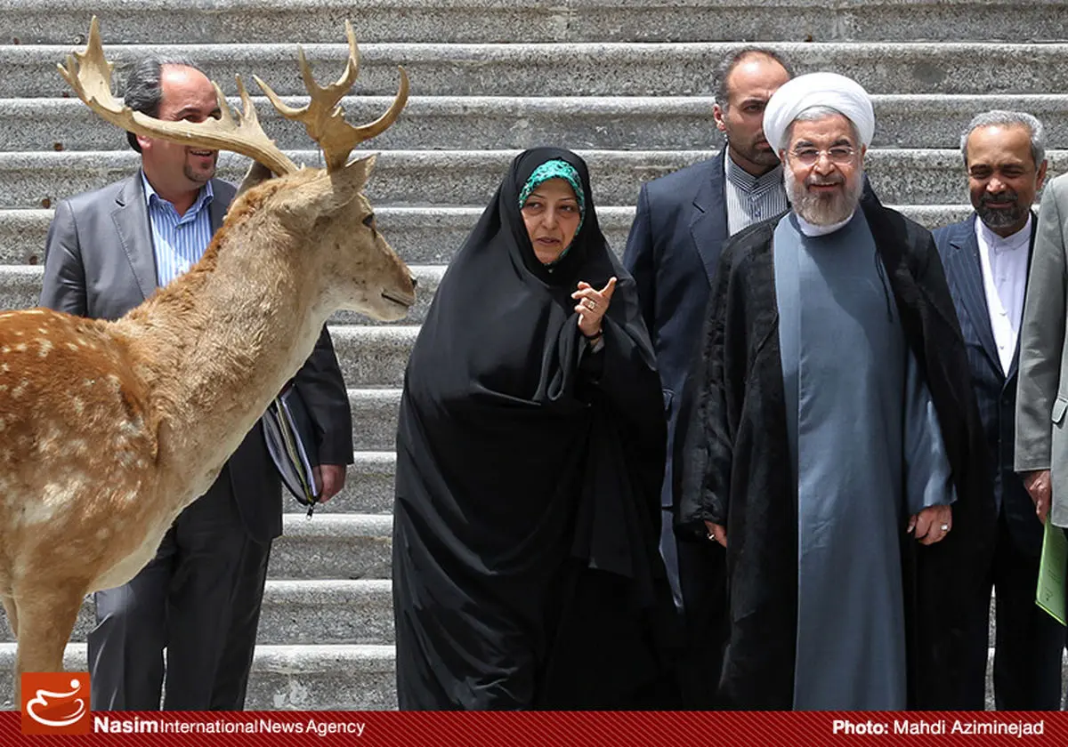 گزارش تصویری:: جلسه هیأت دولت