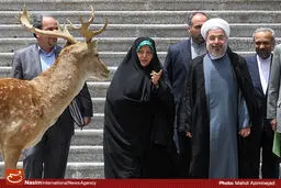 گزارش تصویری:: جلسه هیأت دولت