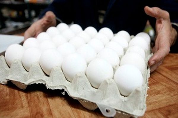 قیمت تخم‌مرغ بدون افزایش قیمت در ماه رمضان تأمین می‌شود