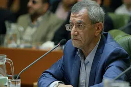 حقانی: نمی‌توان شهرداری را مقصر همه اتفاقات شهر از جمله از بین رفتن باغ‌های تهران دانست