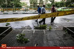 سازمان هواشناسی نسبت به وزش باد شدید در پایتخت تا عصر امروز هشدار داد