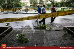 سازمان هواشناسی نسبت به وزش باد شدید در پایتخت تا عصر امروز هشدار داد