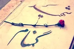 رئیس خانه شهریاران جوان: سیره شهدا بهترین الگو برای نسل جوان است