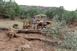 لودرهای اداره راه و شهرسازی الشتر صدها درخت بلوط کهنسال و جوان این منطقه را قلع و قمع کردند