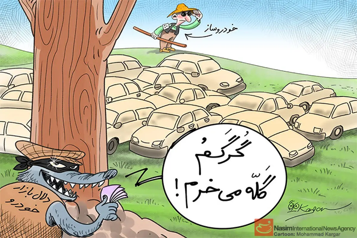 کاریکاتور:: سهم دلالان از بازار خودرو